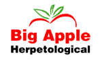 bigappleherp