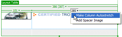 Select Make Column Autostrretch from the column header menu.